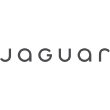 ماکت ماشین جگوار (Jaguar)